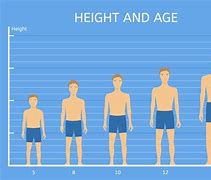 Image result for 5'4 Compared to 5'8