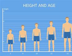 Image result for How Tall Is 5 Foot 6