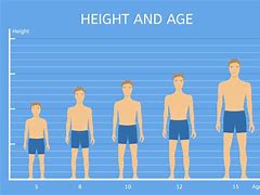 Image result for Height 15.3 Cm in Feet