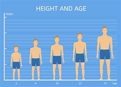 Image result for How Tall Is 60 Cm