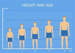 Image result for 5'4 Compared to 6'1