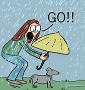 Image result for Wind and Rain Funny Memes
