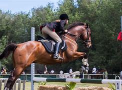 Image result for Best Horse Riders