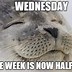 Image result for Whack It Wednesday Memes