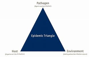 Image result for Epidemiological Triangle