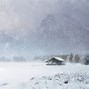 Image result for Winter Forest Portrait Background