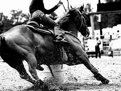 Image result for Horse Racing in Black and White