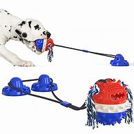 Image result for Extra Large Dog Toys