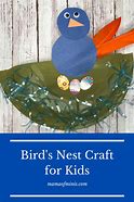Image result for Bird Nest Craft