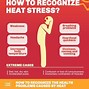 Image result for Workplace Heat Stress Safety