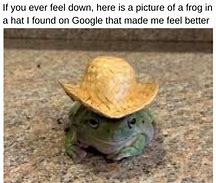 Image result for Froggo Meme