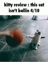 Image result for Cat Ballin Meme