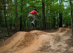 Image result for Mountain Bike Action