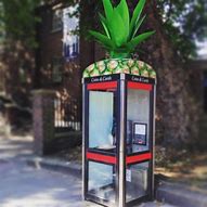 Image result for The Inside of a Pineapple Phone