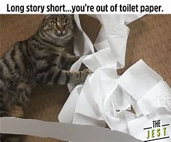 Image result for Using Cat as Toilet Paper Meme