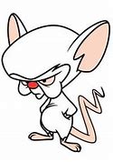 Image result for Pinky and the Brain Cartoon Birthday Images