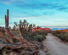 Image result for Arizona Desert Sunset Black and White Images