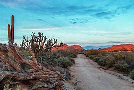 Image result for Arizona Desert Landscape with Sky