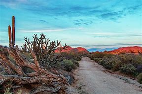 Image result for Arizona Desert Sunset Pictures