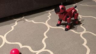 Image result for Red Aibo