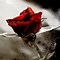 Image result for Victorian Age Gothic Rose