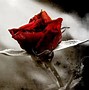 Image result for Goth Roses Background