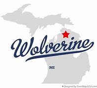 Image result for Michigan Wolverines Jordan iPhone Case