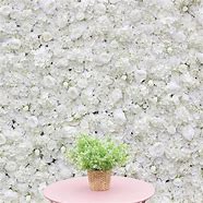 Image result for White Flower Wall
