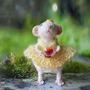 Image result for Cute Fluffy Furry Mouse