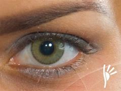 Image result for Green Contact Lenses for Brown Eyes