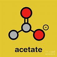Image result for acemote