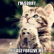 Image result for Cat Apology Meme