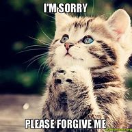 Image result for I AM Sorry Funny