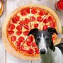 Image result for Pizza Bad Ingredients