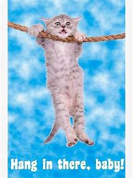 Image result for Hang in There Baby Meme