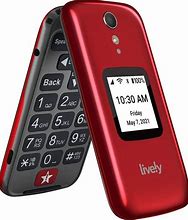 Image result for Consumer Cellular Basic Flip Phone