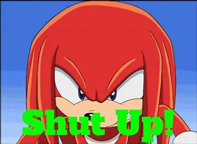 Image result for Knuckles Shut Up Sonic X