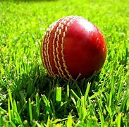 Image result for Cute Cricket Green Wallpaper