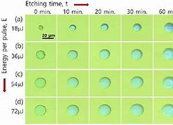 Image result for Buchel Micro Lens