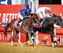 Image result for Thunder Snow in Dubai World Cup