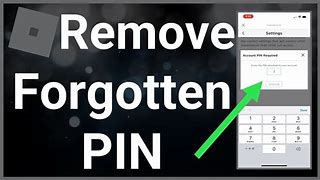 Image result for Goprogram Forgot Pin