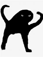 Image result for Stong Black Cat Meme