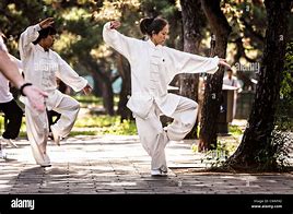 Image result for Chinese Tai Chi