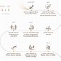 Image result for Elon Musk Infographic