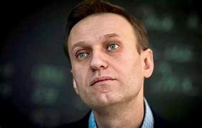 Image result for Navalny Bruised