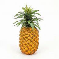 Image result for Artificial Pineapple Decor