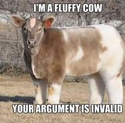 Image result for Cow Company Meme