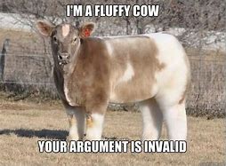 Image result for Cow COO Meme