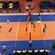 Image result for The Spike Volleyball Game