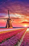Image result for Beautiful Nature Netherlands